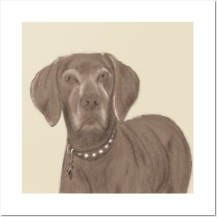 Hungarian Vizsla line drawing Posters and Art